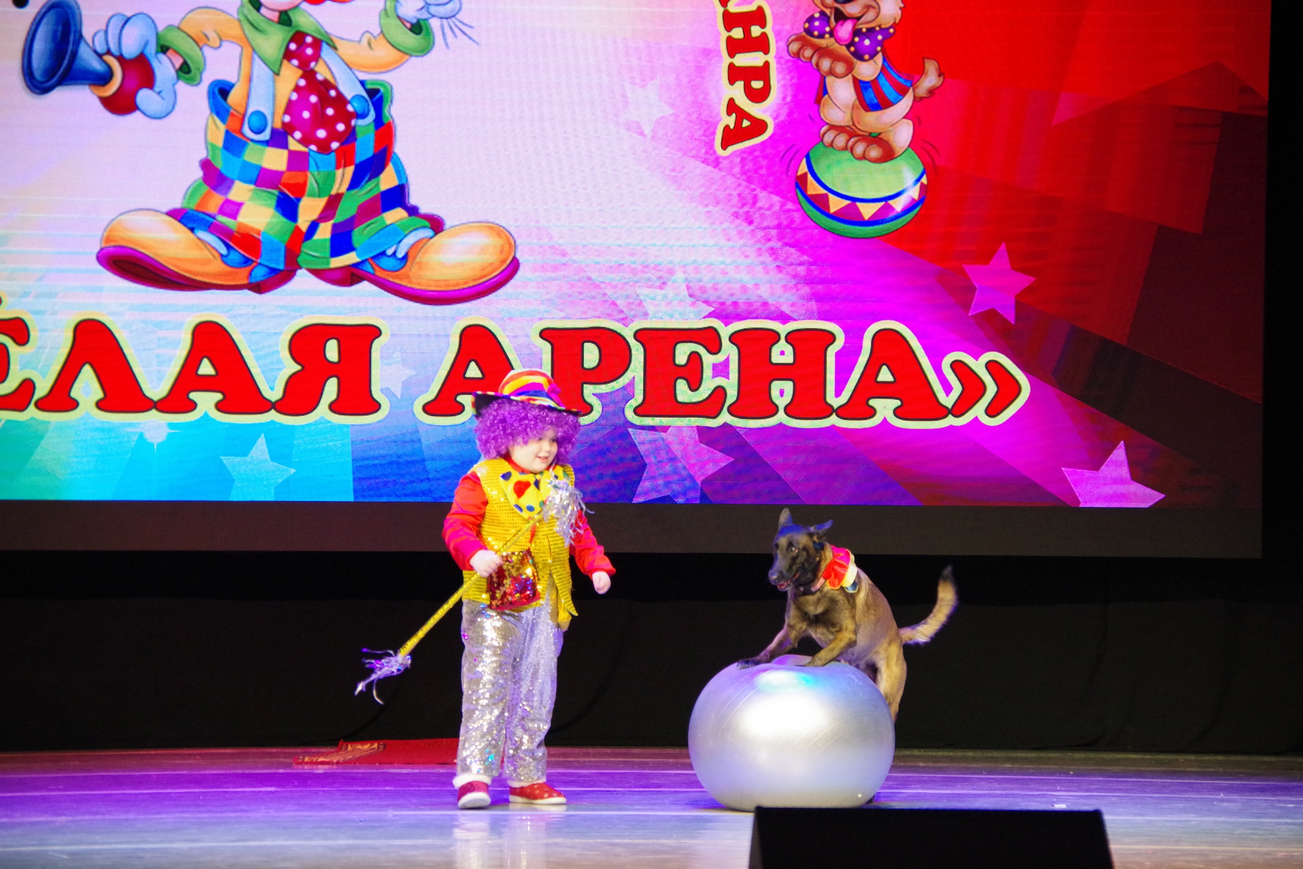 Веселая арена 2024 Веселая арена 2024